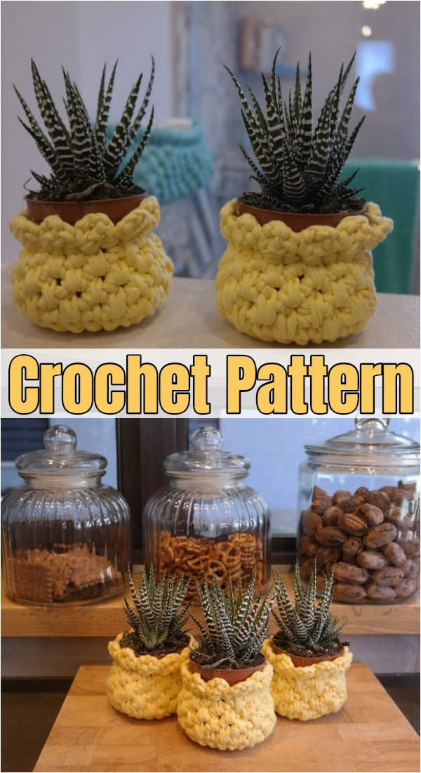 Crochet Plant Cover 7