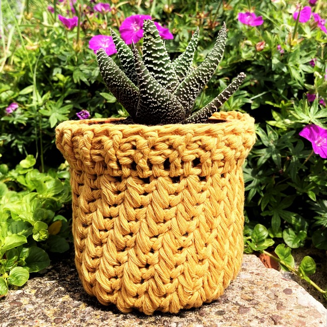 Feather Stitch Plant Pot Cover