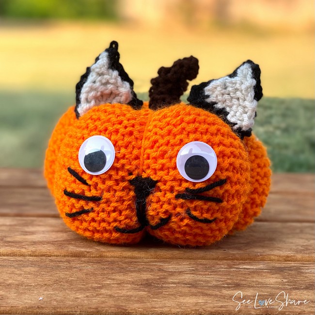 Lil Monsters Kitty Cat Pumpkin