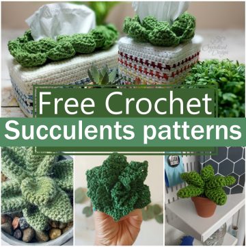 crochet Succulents patterns 1