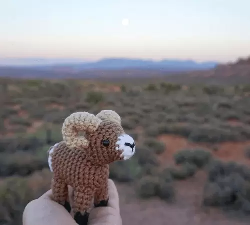 Bobby, The Bighorn Sheep Crochet Pattern
